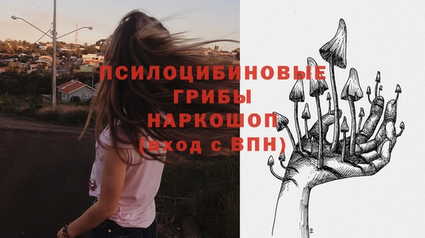марки lsd Богданович